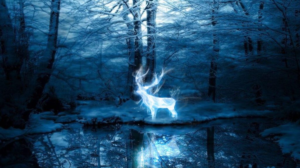 Harry Potter The Forbidden Forest At Night Virtual Background For Zoom, Skype And Teams