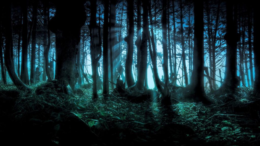 Harry Potter Inside The Forbidden Forest Virtual Background For Zoom, Skype And Teams