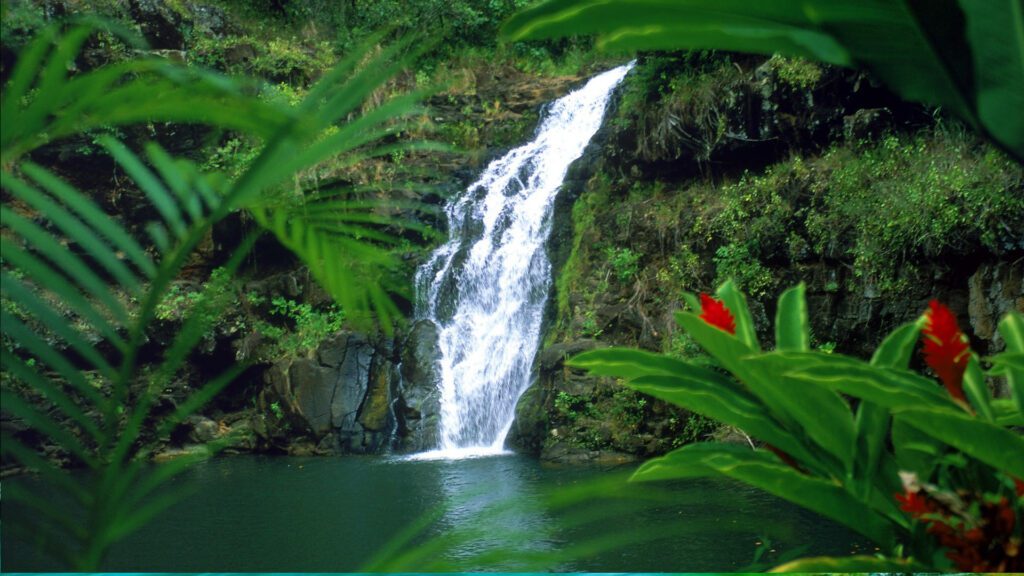 Hawaii Waterfall Virtual Background For Zoom And Meet Video Calls