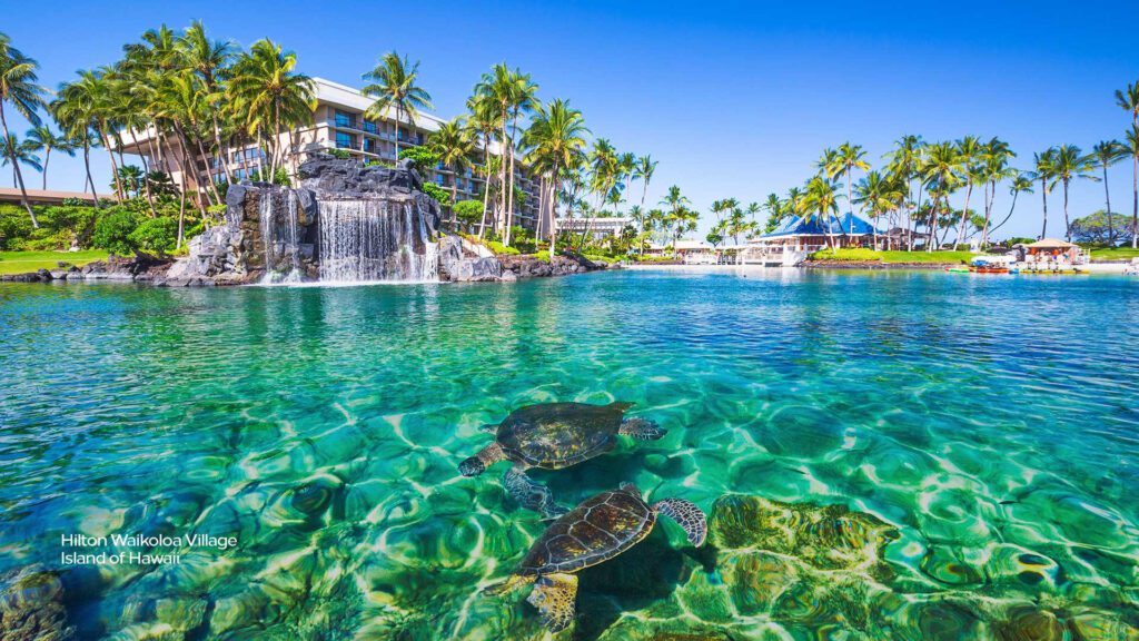 Hawaii Virtual Backgrounds For Zoom And Meet Video Calls