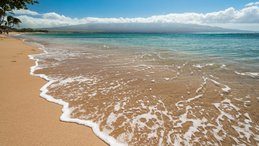 Maui Beach Virtual Backgrounds For Zoom And Meet Video Calls 3