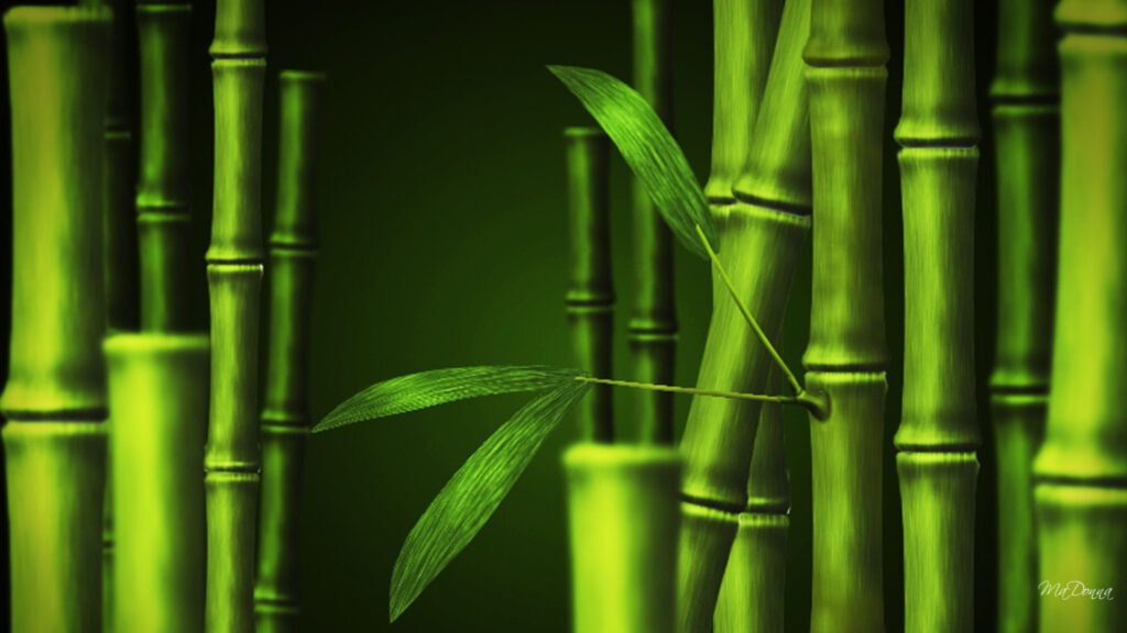 Bamboo Forest Virtual Backgrounds