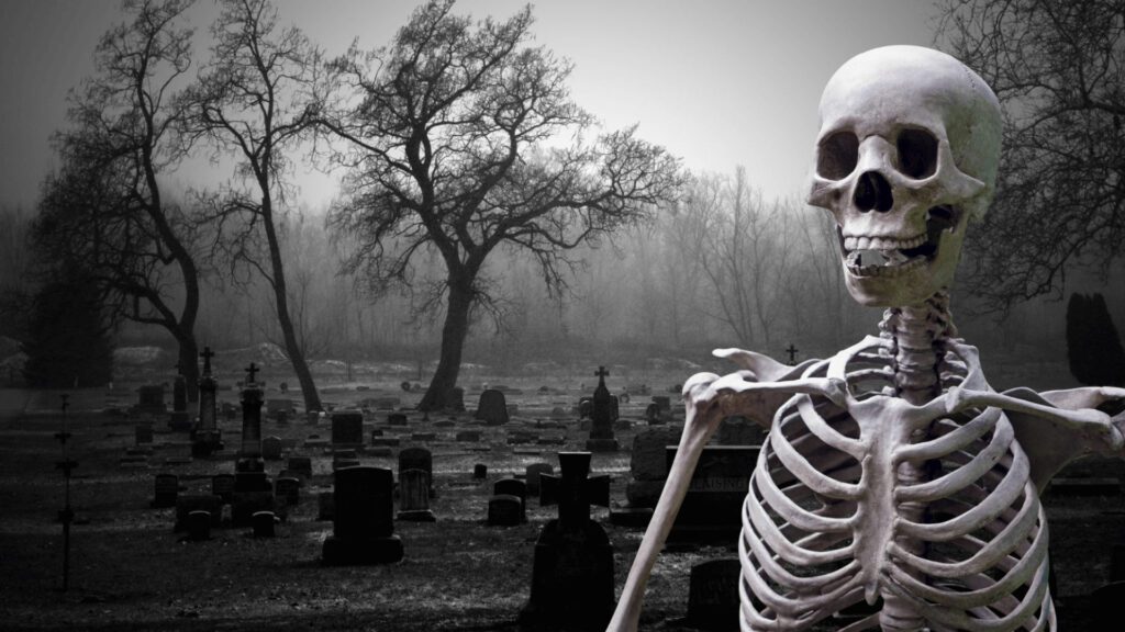 Halloween Skeleton Virtual Background For Zoom