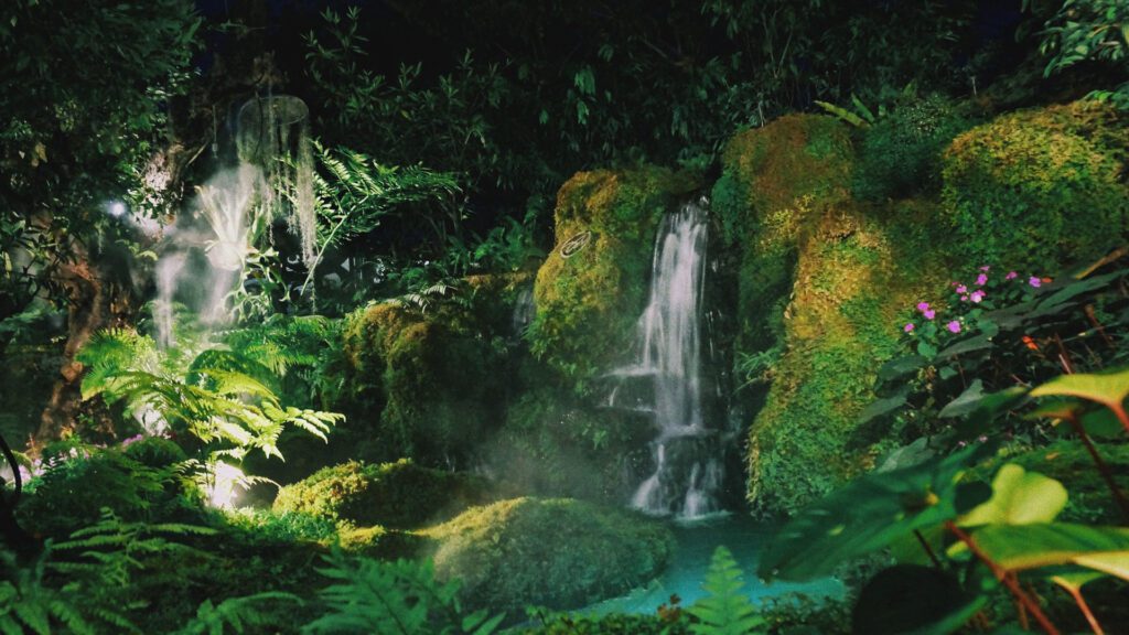 Jungle Forest Virtual Backgrounds