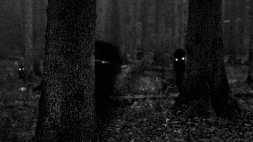 Scary Creepy Forest Virtual Backgrounds