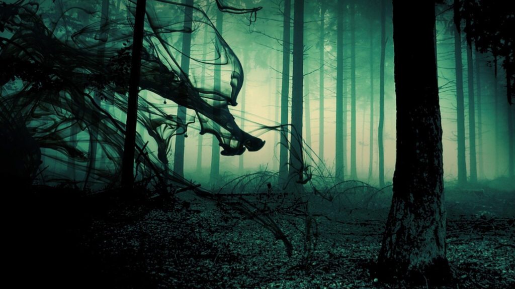 Scary Creepy Forest Virtual Backgrounds